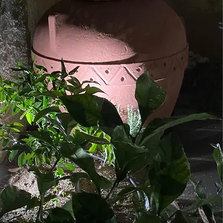 Casa Marylu Con Giardino Marina di Schiavonea