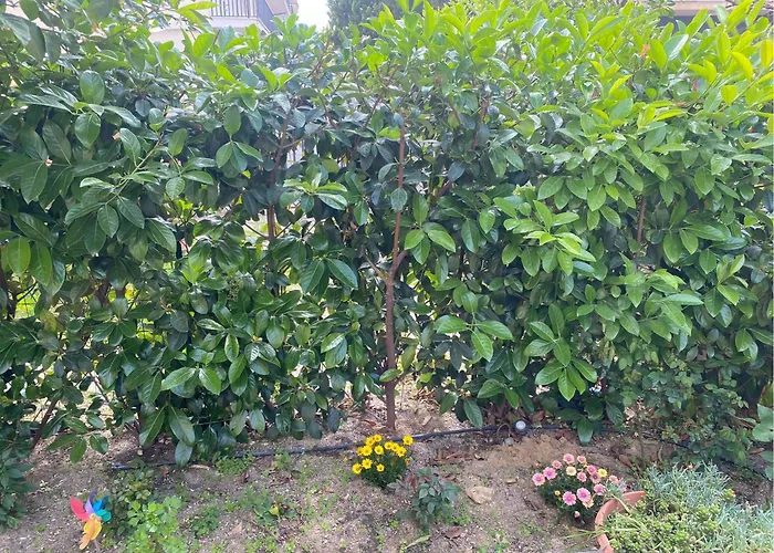 Casa Marylu Con Giardino 公寓