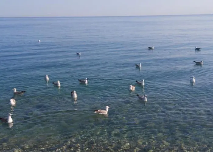 Apartamento Casa Marylu Con Giardino *