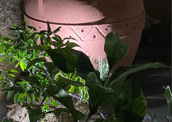 Casa Marylu Con Giardino Marina di Schiavonea